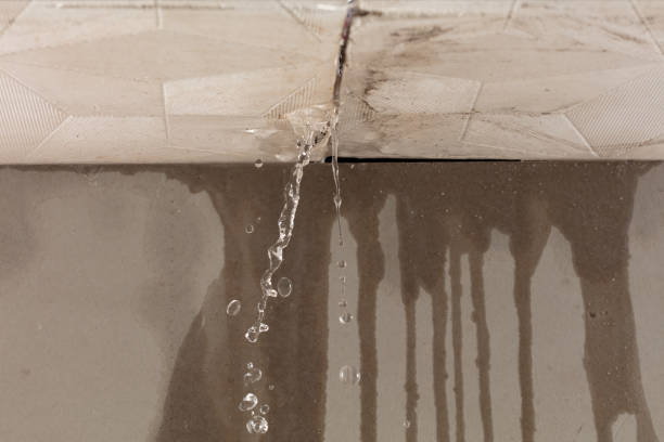 Professional Water Extraction technician working in Big Bear Lake, CA